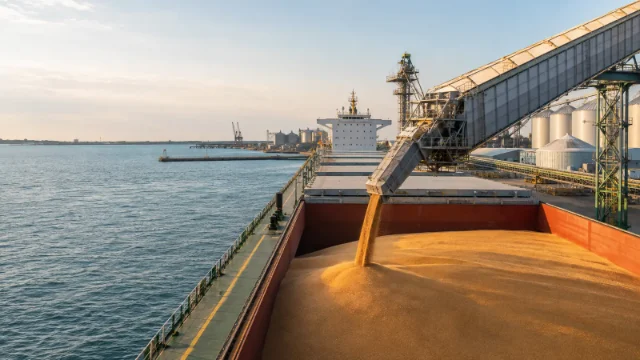 Bulk wheat vessel loading at a grain terminal for international shipment